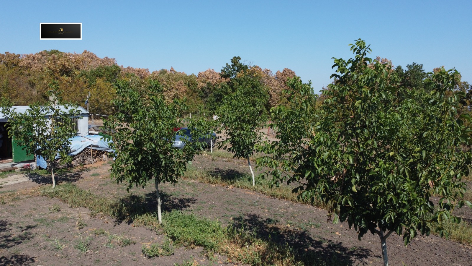 Продава БИЗНЕС ИМОТ, гр. Бургас, с. Димчево, снимка 2 - Други - 43833491