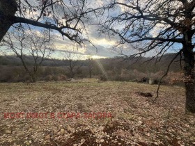 ����� ������� ������,���� ����� ������, �������� - ������