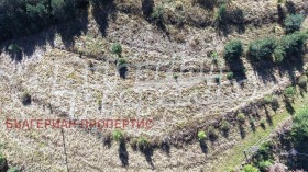 ������� ���������� ���� | Imot.bg � ����� ������ 3