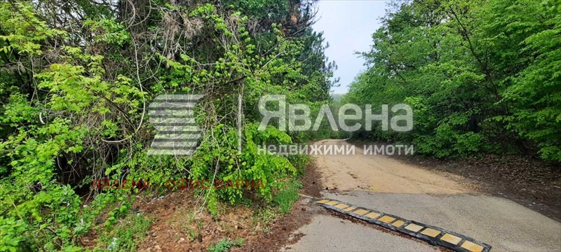 Na prodej  Spiknutí Varna , m-t Manastirski rid , 3742 m2 | 67054036 - obraz [2]