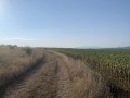 Продава ПАРЦЕЛ, с. Храбърско, област София област, снимка 5