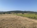 Продава ПАРЦЕЛ, с. Храбърско, област София област, снимка 7