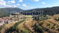 Продава ЗЕМЕДЕЛСКА ЗЕМЯ, с. Маджаре, област София област, снимка 6