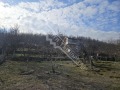 Продава ВИЛА, област Габрово, гр. Дряново • 30000 лв. • 97950659 — Holmes.bg