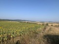 Продава ПАРЦЕЛ, област София, с. Храбърско • 63070 € • 26113873 8