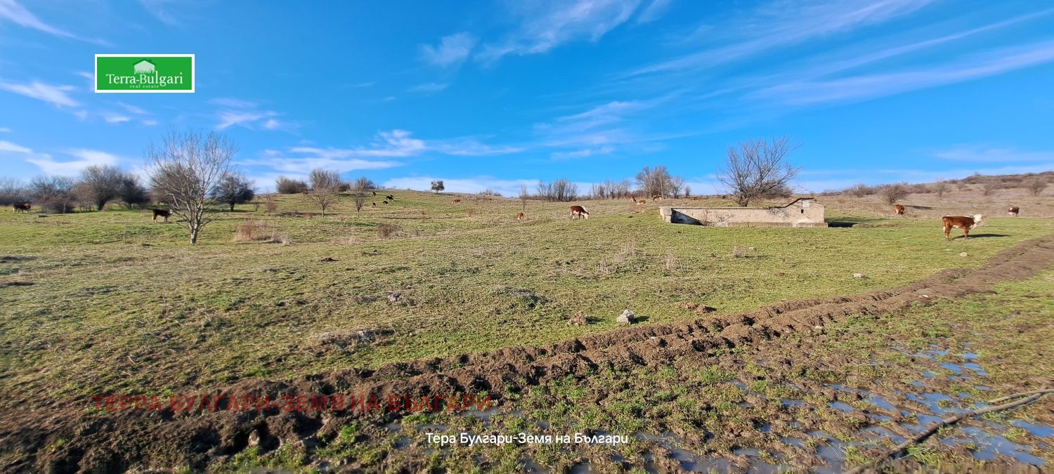 ������� ������ | Imot.bg � ����������� 5