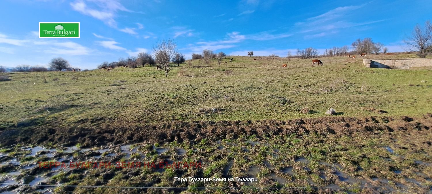 ������� ������ | Imot.bg � ����������� 10