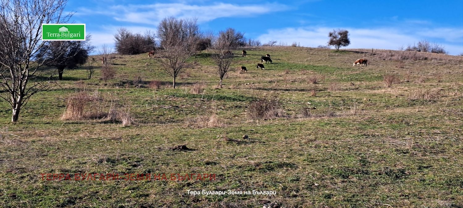 ������� ������ | Imot.bg � ����������� 7