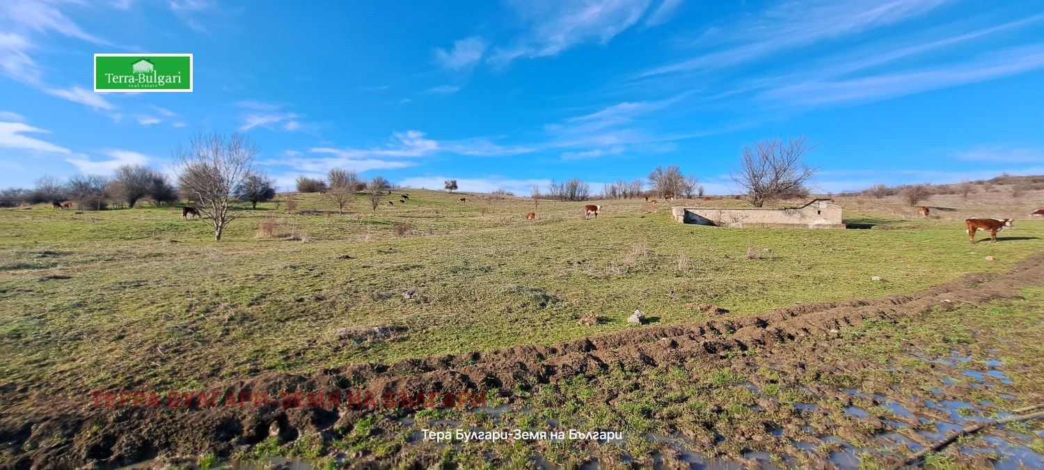 ������� ������ | Imot.bg � ����������� 9