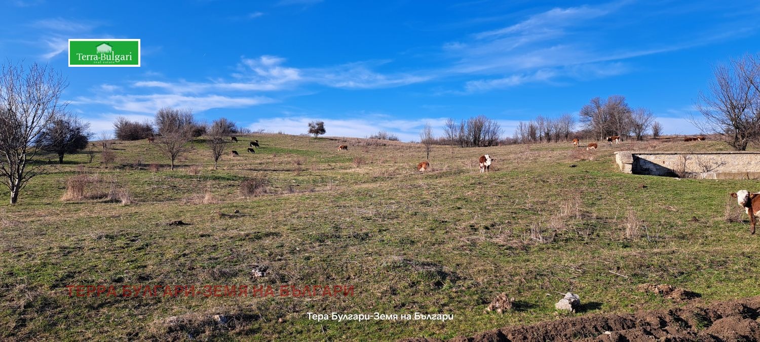 ������� ������ | Imot.bg � ����������� 3