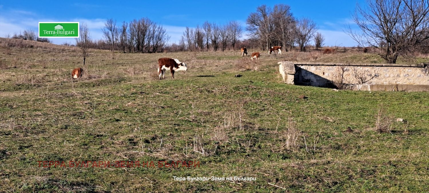 ������� ������ | Imot.bg � ����������� 8