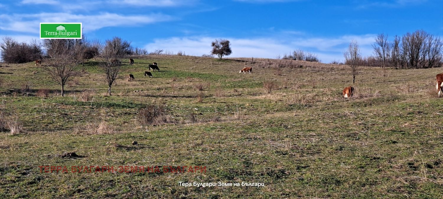 ������� ������ | Imot.bg � ����������� 6