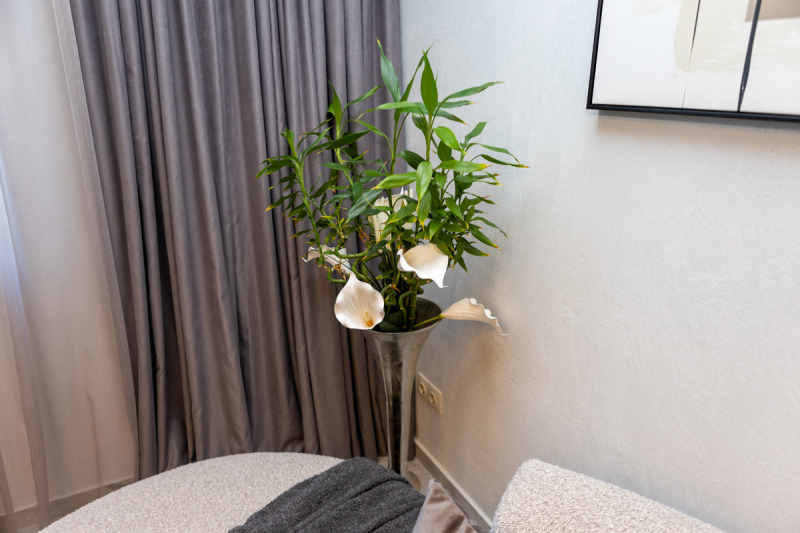 Продава 3-СТАЕН, гр. София, Лозенец, снимка 9 - Апартаменти - 52824886