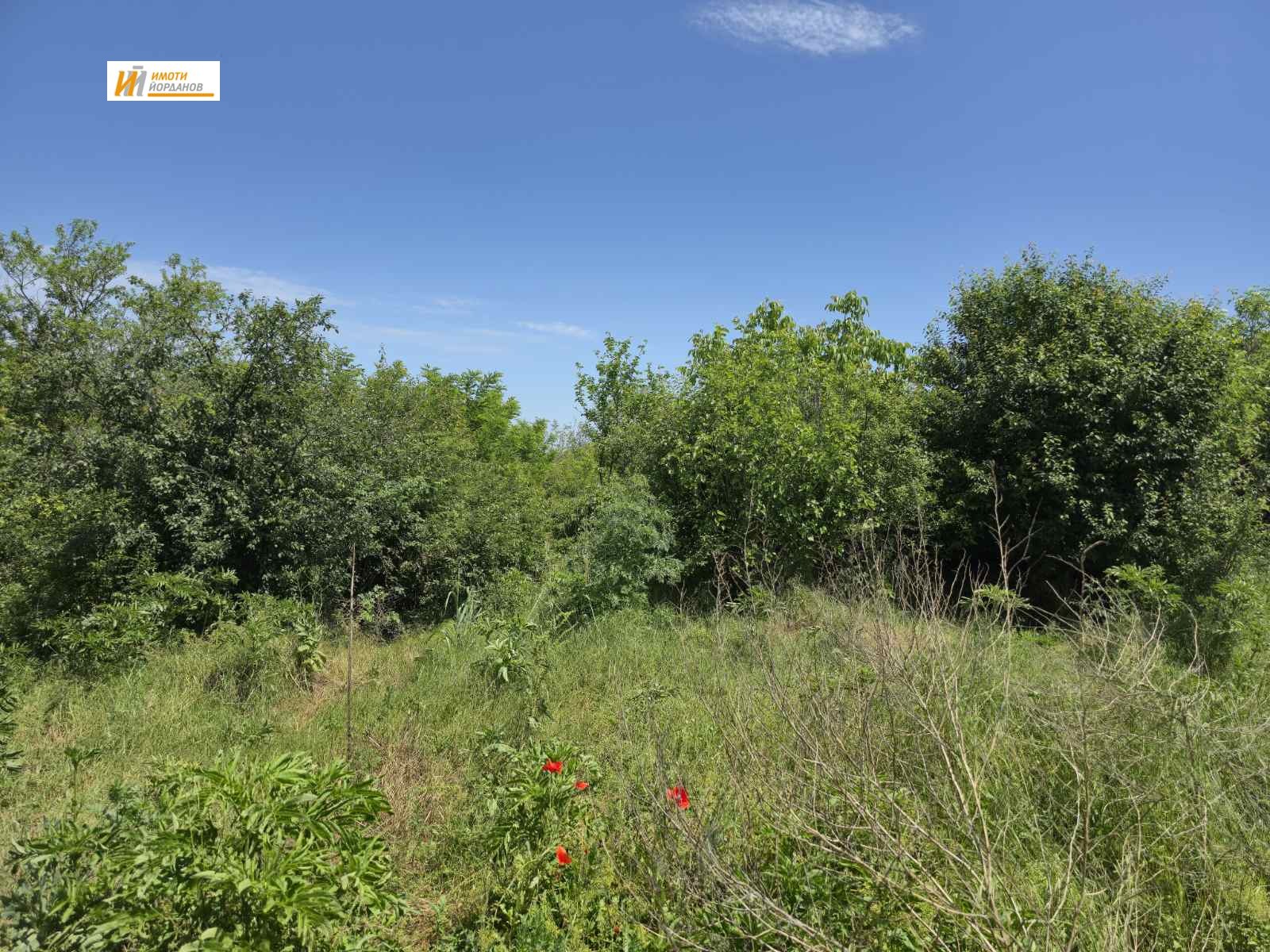 Продава ПАРЦЕЛ, с. Поликраище, област Велико Търново, снимка 2 - Парцели - 53674756