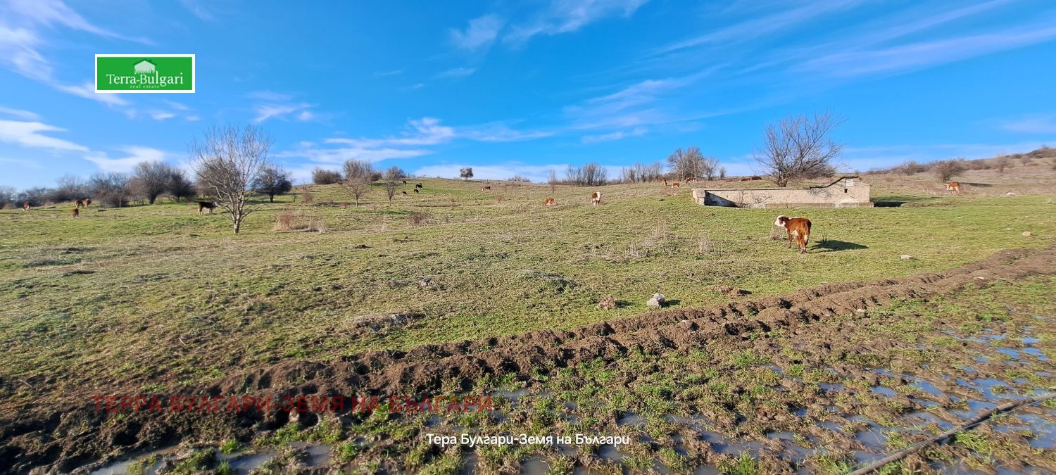 Продава ПАРЦЕЛ, с. Витановци, област Перник, снимка 3 - Парцели - 53788702