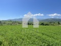 Продава ПАРЦЕЛ, с. Марково, област Пловдив, снимка 2