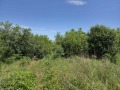 Продава ПАРЦЕЛ, област Велико Търново, с. Поликраище • 32000 лв. • 83527475 — Holmes.bg