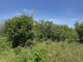 Продава ПАРЦЕЛ, област Велико Търново, с. Поликраище • 32000 лв. • 83527475 — Holmes.bg