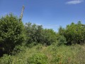 Продава ПАРЦЕЛ, област Велико Търново, с. Поликраище • 32000 лв. • 83527475 — Holmes.bg