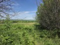 Продава ПАРЦЕЛ, област Велико Търново, с. Поликраище • 32000 лв. • 83527475 — Holmes.bg