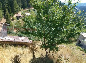 ������� ���� | Imot.bg � ����� ������ 3