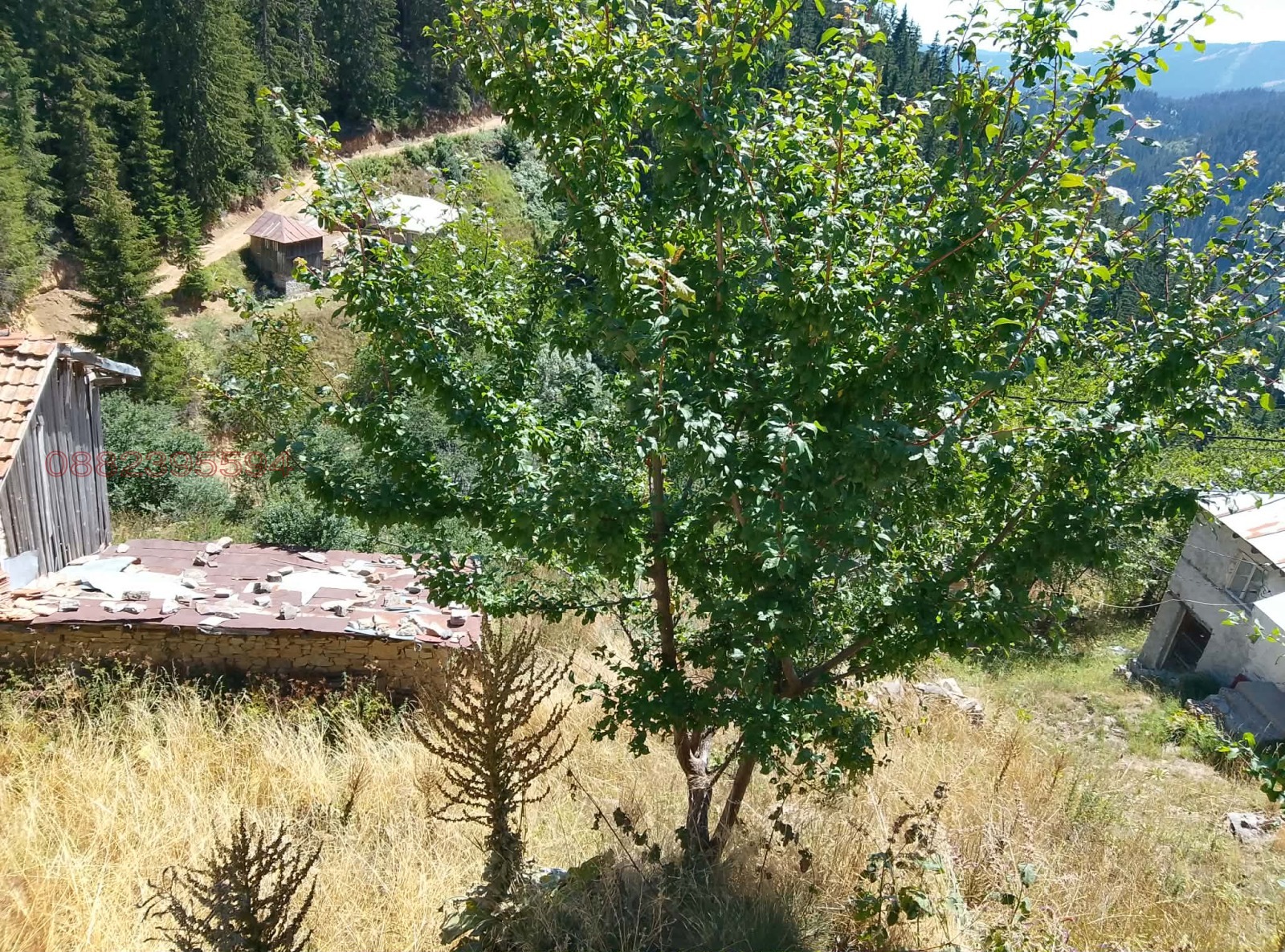 Продава КЪЩА, с. Зорница, област Смолян, снимка 3 - Къщи - 54335022