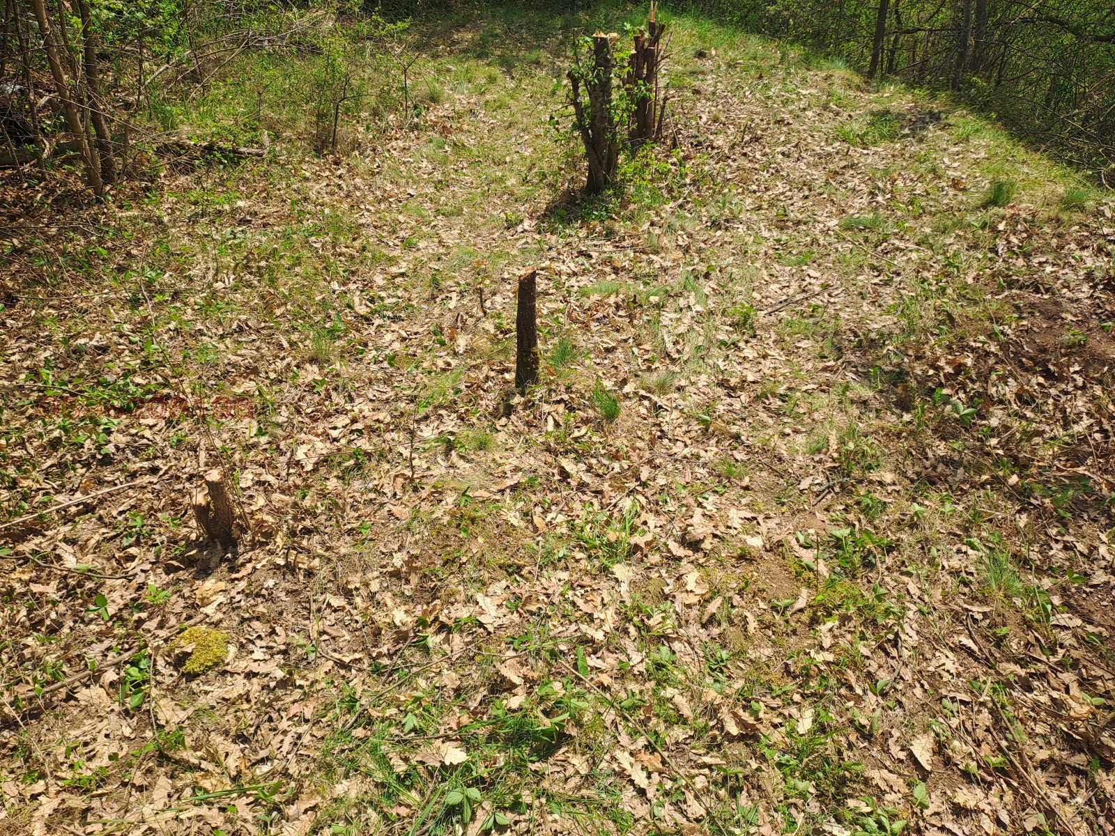 ������� ���� | Imot.bg � ����������� 13