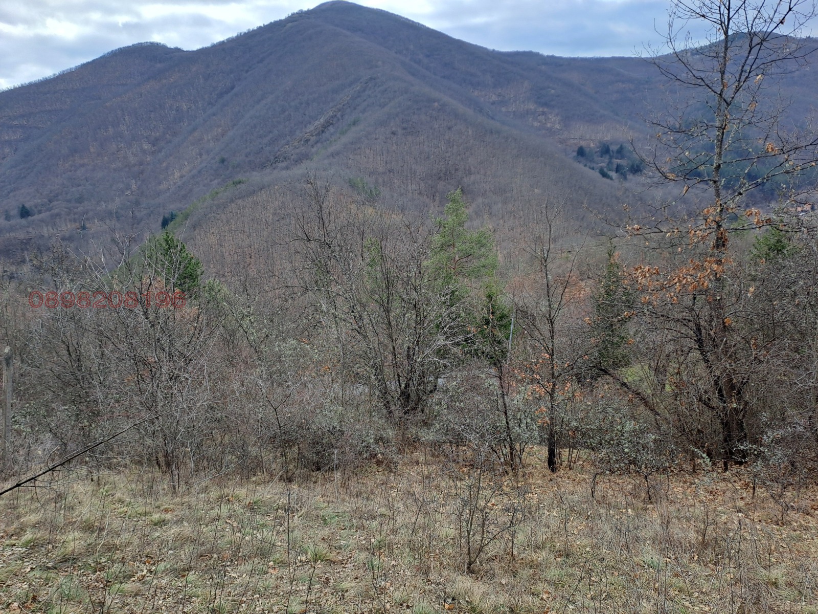 ������� ���� | Imot.bg � ����������� 10