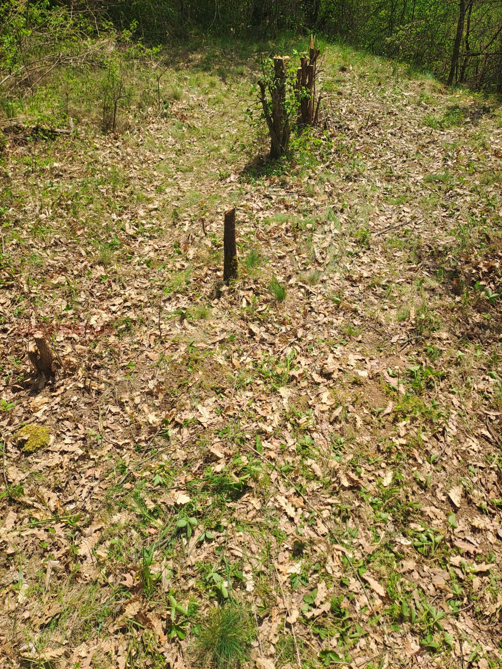 ������� ���� | Imot.bg � ����������� 14