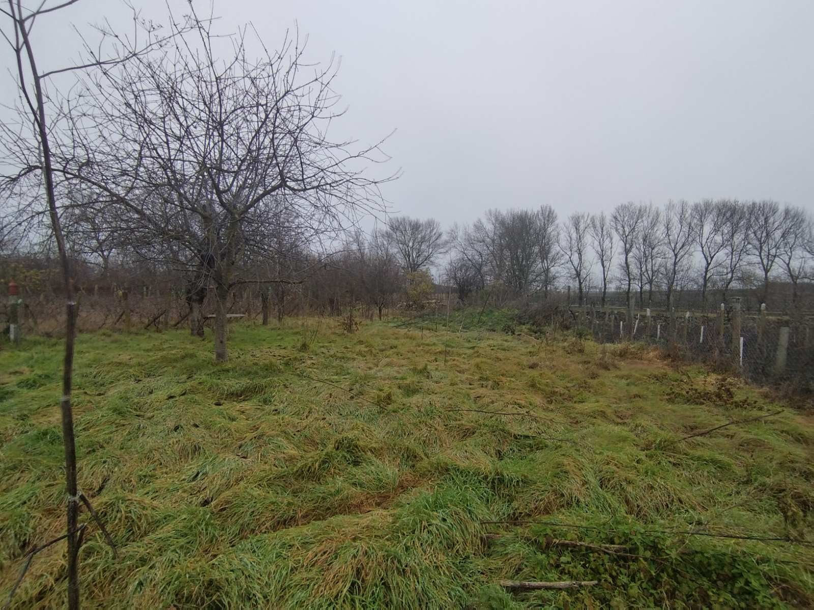 ������� ���� | Imot.bg � ����������� 5