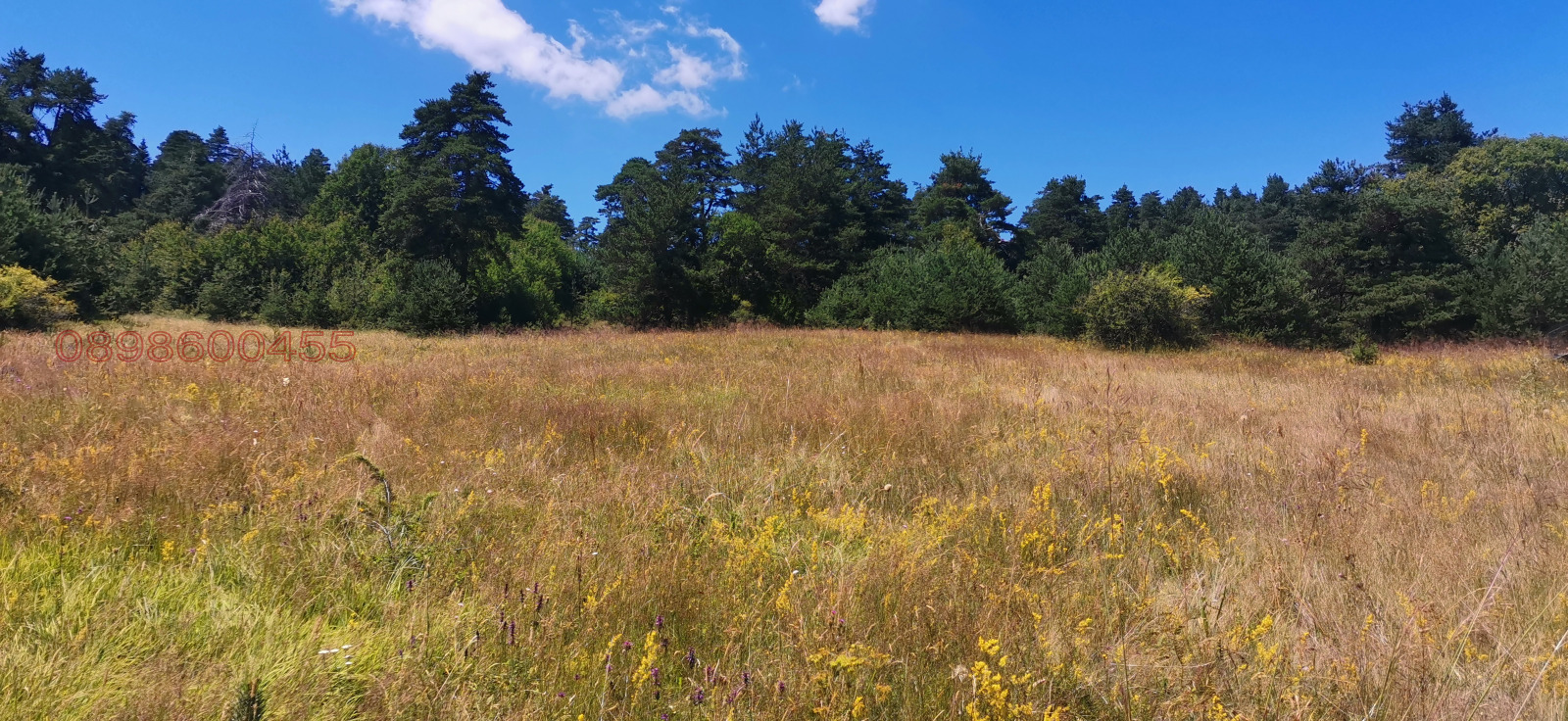 ������� ������ | Imot.bg � ����������� 3