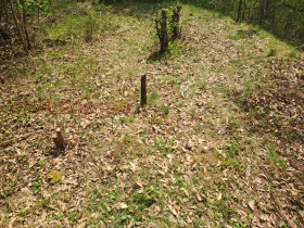 ������� ���� | Imot.bg � ����� ������ 13