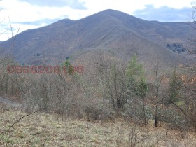 ������� ���� | Imot.bg � ����� ������ 9