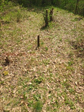 ������� ���� | Imot.bg � ����� ������ 14