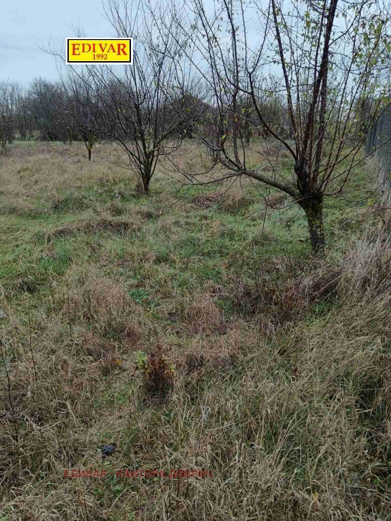 Продава КЪЩА, с. Ловчанци, област Добрич, снимка 5 - Къщи - 52718477