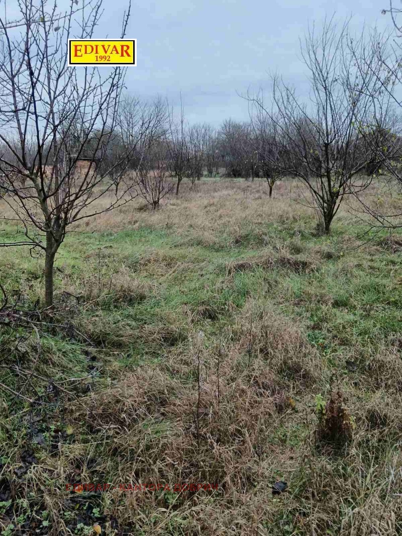 Продава КЪЩА, с. Ловчанци, област Добрич, снимка 4 - Къщи - 52718477