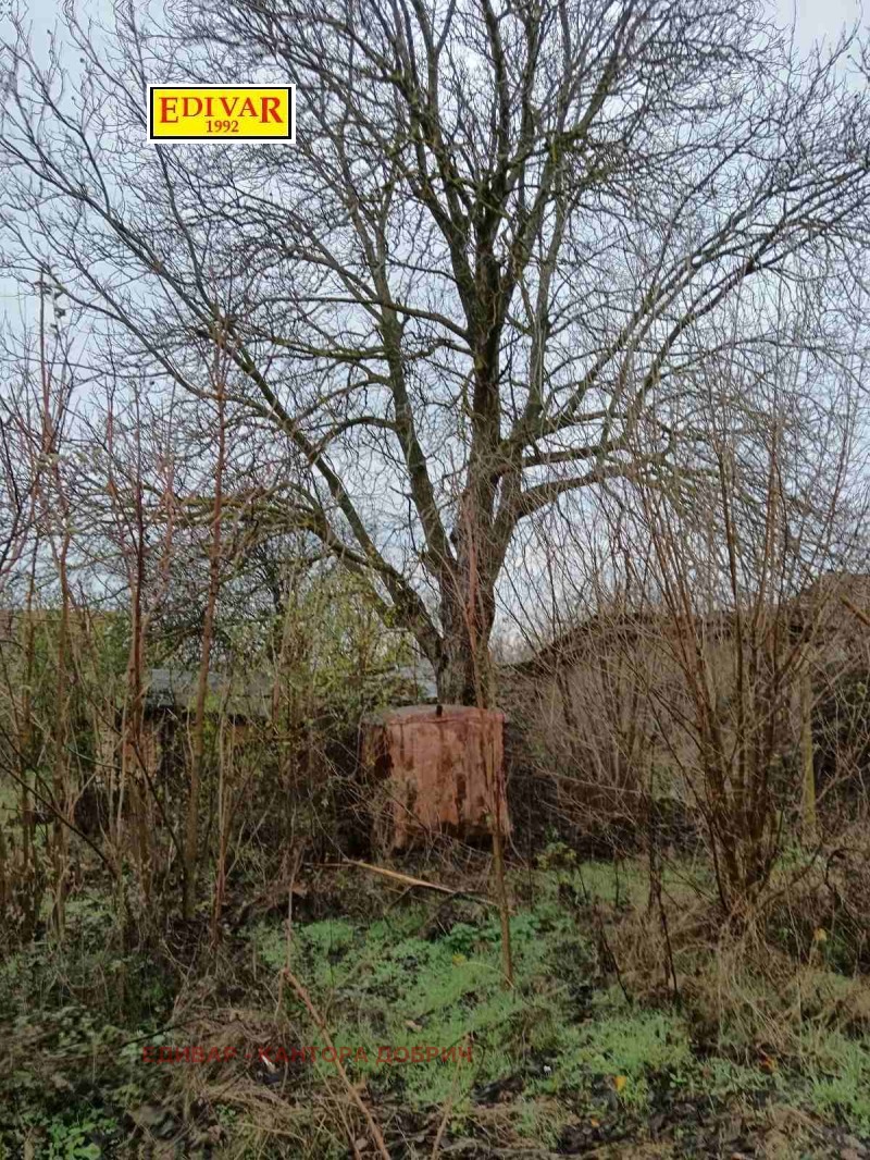 Продава КЪЩА, с. Ловчанци, област Добрич, снимка 3 - Къщи - 52718477