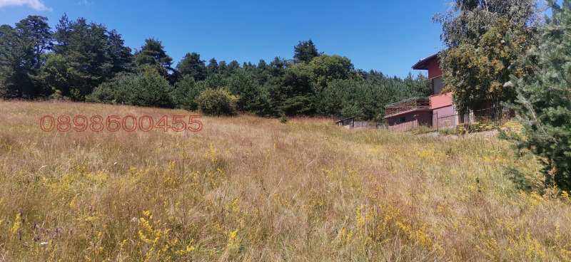 Продава ПАРЦЕЛ, м-т Цигов чарк, област Пазарджик, снимка 2 - Парцели - 52785967