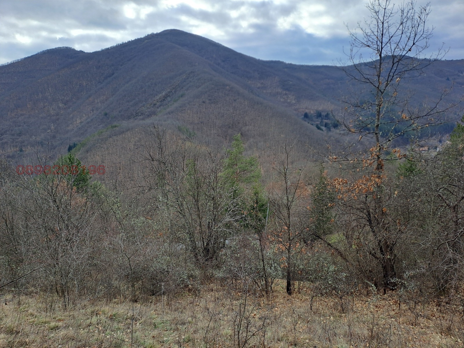 Продава КЪЩА, с. Батулия, област София област, снимка 7 - Къщи - 53730960