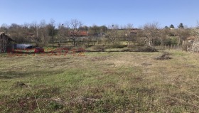 ����� ������� ������,�. ������, ������ �����