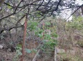 Продава ПАРЦЕЛ, гр. Варна, Виница, снимка 8