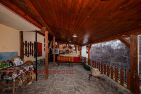 ����� ������� ����,�. �����, ������ �������