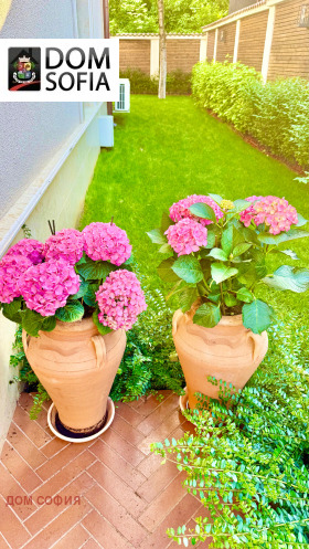 ������� ���� | Imot.bg � ����� ������ 6