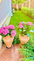 Продава КЪЩА, гр. София, Карпузица, снимка 6