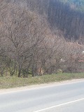 Продава ПАРЦЕЛ, област Ловеч, гр. Тетевен • 37000 € / 72365.71 лв. • 81321646 3