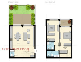 ������ ������� ����