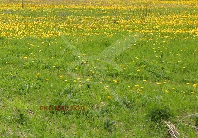 De vânzare  Complot Plovdiv , Industrialna zona - Sever , 5658 mp | 52735136
