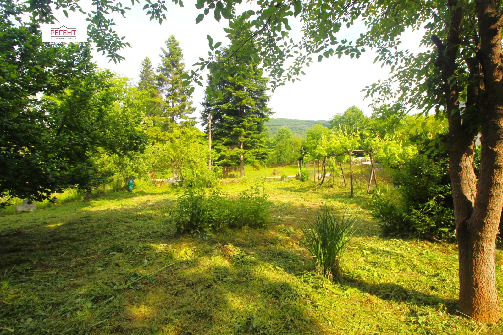 Продава КЪЩА, с. Гергини, област Габрово, снимка 14 - Къщи - 54753898