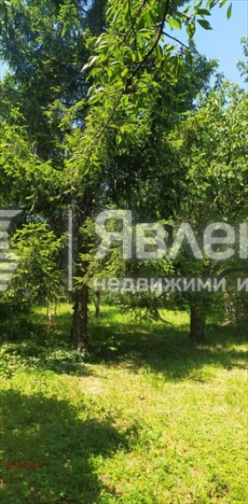 ������� ���� | Imot.bg � ����� ������ 12