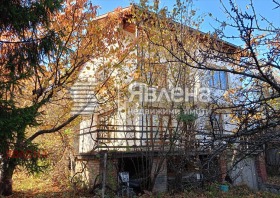 ����� ������� ����,���� �����, ����� ����